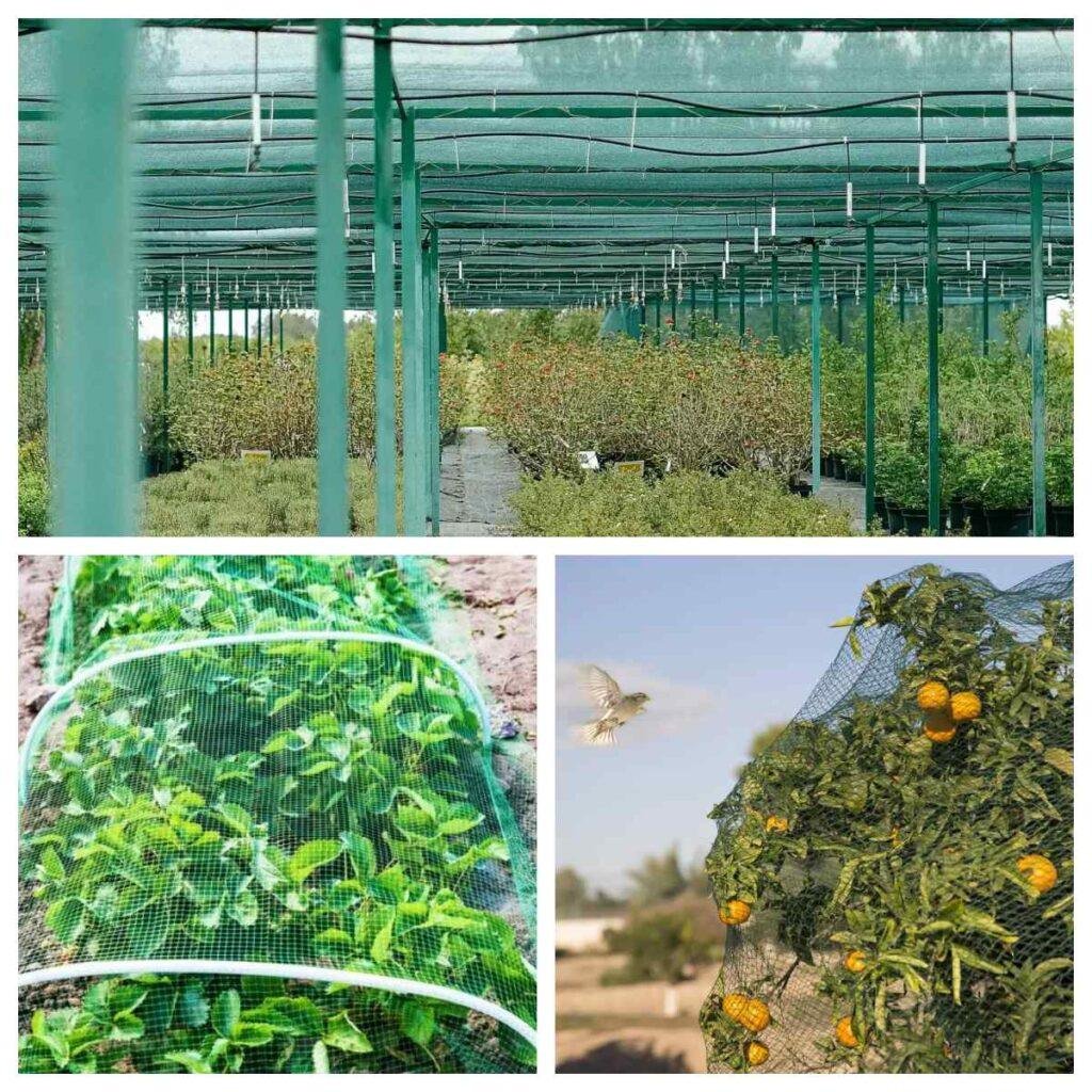 Anti Bird Net Application