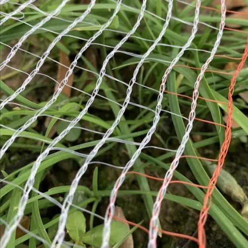 Bird Proof Netting – For Fruit Trees & Crops-3