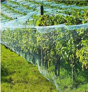 Bird Proof Netting – For Fruit Trees & Crops