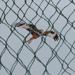 Custom Size Anti Bird Net – OEM Available