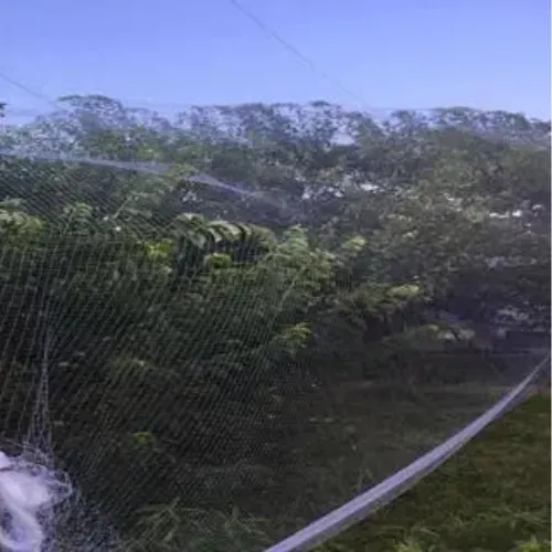 Knotted Anti Bird Net – Orchard & Garden Use-1