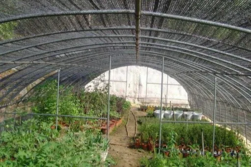 Nursery Shade Cloth for Seedling Protection-1
