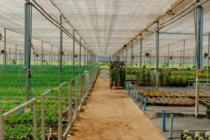 The Comprehensive Guide to Shade Cloth for Coffee Seedlings