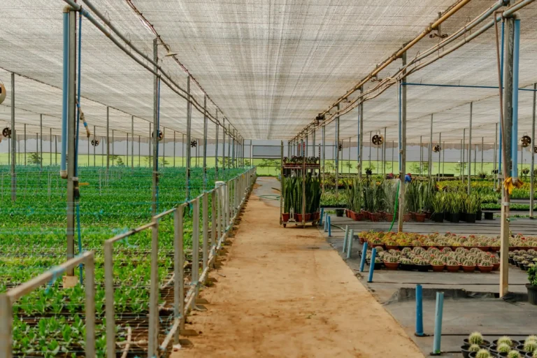The Comprehensive Guide to Shade Cloth for Coffee Seedlings