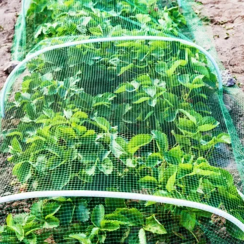 hdpe bird netting for commercial orchard